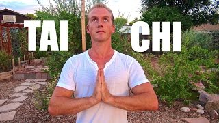 Tai Chi for Beginners  Chinese Tai Chi Chuan [upl. by Itak]