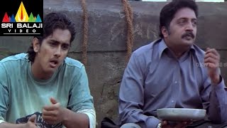 Nuvvostanante Nenoddantana Movie Prakashraj Scene  Siddharth Trisha  Sri Balaji Video [upl. by Avla552]