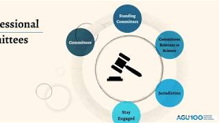 What are Congressional Committees [upl. by Eniarral]