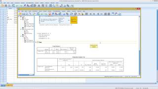 SPSS  Homogeneity Test [upl. by Akcebar]