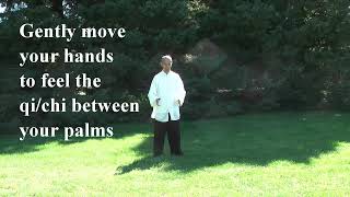 Tai Chi Qigong Shibashi Set 1  by Master Wing Cheung [upl. by Htebzil374]