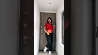 Enrique Iglesias  Bailando tiktok Challenge [upl. by Haziza]