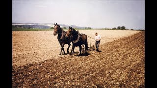 Doku historisch Bäuerlicher Alltag um 1950Muskelkraft und natürliche Energien [upl. by Ninnetta97]