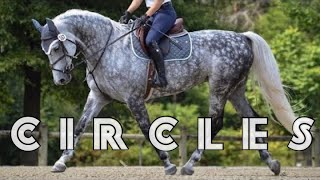 Circles  Equestrian Music Video [upl. by Breeze466]