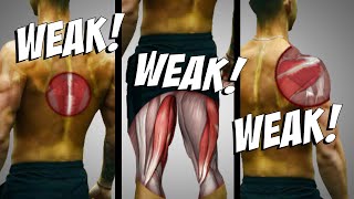 3 Muscle Imbalances SLOWING Your Gains Stop Neglecting These [upl. by Eiuqram379]