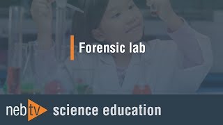 Kid Science  Forensic lab [upl. by Tutto]