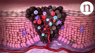 How do cancer cells divide [upl. by Yentrok]