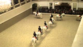 Spanish Riding School  Vienna HD [upl. by Boris312]