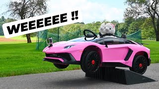 LLAMA DRIVES A LAMBORGHINI  so cute [upl. by Akital]