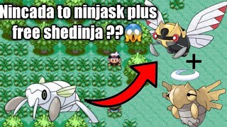 How to Evolve Nincada to Ninjask and get Shedinja in Pokemon RubySapphire and Emerald [upl. by Ahseid779]