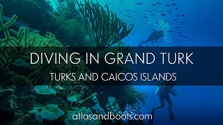 Diving in Grand Turk Turks and Caicos Islands [upl. by Laszlo]