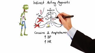 Pharmacology  ADRENERGIC RECEPTORS amp AGONISTS MADE EASY [upl. by Delores]