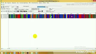 How to work with BioEdit sequence alignment editor [upl. by Okram]