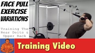 Face Pulls Alternative Exercise Variations [upl. by Power]