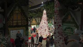 Christmas Tree in Rothenburg Germany [upl. by Dwane820]