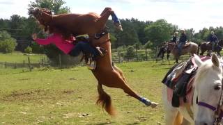 Horse flips on rider [upl. by Lesko514]