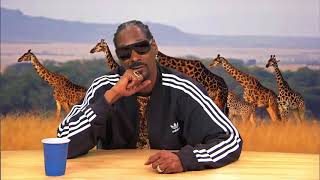 HILARIOUS Snoop Dogg narrates Animal Planet Documentary [upl. by Yerggoeg]