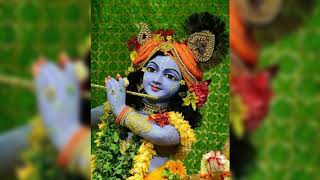 Vrindavan ka kad kad bola shri radha Radhaš™¸š™¸ [upl. by Carmelo]