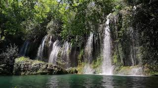 Wasserfallgeräusche mit Vogelgezwitscher im Wald Naturgeräusche zum Einschlafen amp Entspannen [upl. by Sallad]