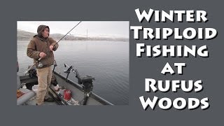 Winter Triploid Fishing at Rufus Woods [upl. by Uokes]