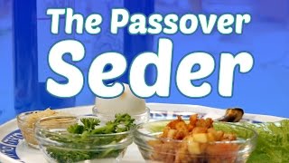 The Passover Seder What to Expect [upl. by Anma]