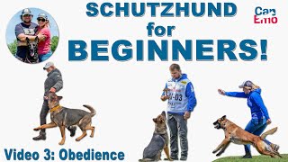 Schutzhund For Beginners Obedience [upl. by Dekow851]