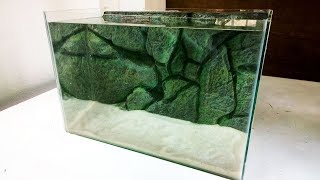 3D Backgrounds for Aquariums [upl. by Aihsak365]