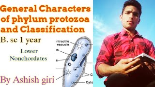 Phylum protozoa general characters and Classification [upl. by Roberts]