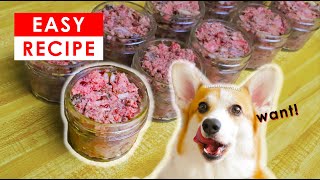 BEST HOMEMADE RAW DOG FOOD RECIPES  MADE EASY [upl. by Hilleary]