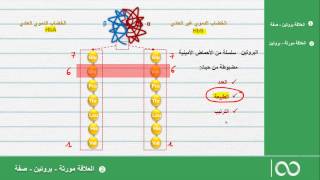 الثانية باك علوم الحياة و الارض العلاقة مورثة  بروتين  صفة [upl. by Nhguahs750]