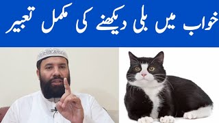 Khwab mein billi dekhna  cat dream meaning  khwab mein billi dekhne ki tabeer  cat in dream [upl. by Mat]