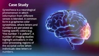 Occipital Lobe  Human Brain Series  Part 7 [upl. by Ynnhoj]