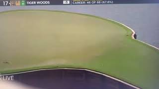 Tiger Woods quadruplebogey Players Championship 2019 17th Hole TPC Sawgrass [upl. by Platon]