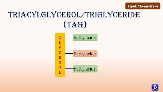 4 Triacylglycerol Triglycerides  Lipid Chemistry4  Biochemistry  NJOY Biochemistry [upl. by Atteyram]