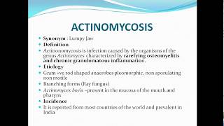 Actinomycosislumpy jaw [upl. by Trudi]