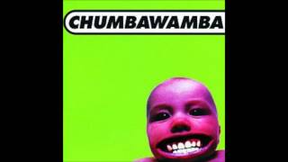 Chumbawamba Tubthumping [upl. by Gierc461]