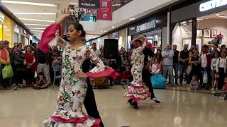 PasoDoble MANIZALES 170 AÑOS  Kambalache [upl. by Ralyks]