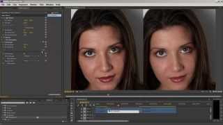 Portraiture Plugin for Video Tutorial [upl. by Garrik296]