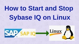 How to Start and Stop Sybase IQ Server [upl. by Innep]