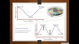 Tidal Cycles 1Diurnal and Semidiurnal [upl. by Mccahill783]