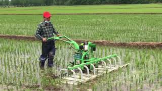 paddy field mechanical weeding machine [upl. by Yasui]