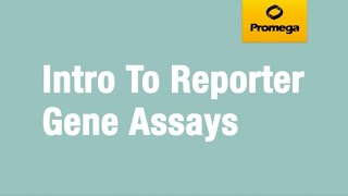 Introduction to Reporter Gene Assays [upl. by Riley504]