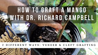 How to Graft a Mango Tree w Dr Richard Campbell [upl. by Padegs719]