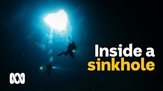 Worldclass sinkholes attract divers to South Australian farms 🕳️  Wild Rides Ep 4  ABC Australia [upl. by Epoillac]