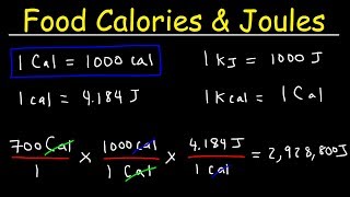 Joules Food Calories amp Kilojoules  Unit Conversion With Heat Energy  Physics Problems [upl. by Namrehs163]