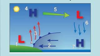 Meteorology Pressure Gradients Explained [upl. by Jenei]