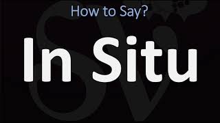 How to Pronounce In Situ CORRECTLY [upl. by Jobi]