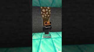 HOW TO HIDE SECRET ROOM IN MINECRAFT shorts minecraft minecraftshorts [upl. by Einaffyt]