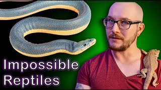 Top 5 IMPOSSIBLE TO KEEP Reptiles [upl. by Llekcir]