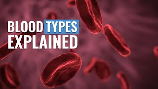 Understanding Blood Types and Rh factor [upl. by Shamrao]